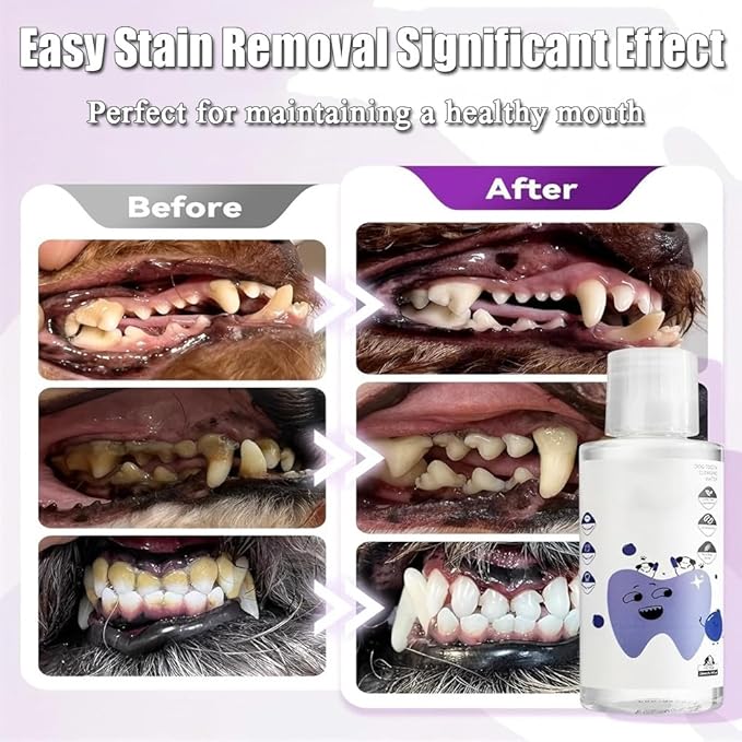 Dental Water Additive, Specialized Dental Care Formula, Fresh Dental Water Additive for Dogs, Natural Flavorless Teeth Cleaning Mouthwash, Freshen Dog Breath, Promote Healthy Gums(2PCS)