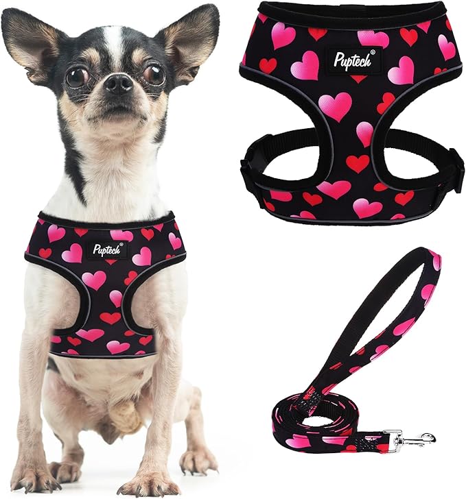 PUPTECK Soft Mesh Dog Harness and Leash Set Pet Puppy Cat Comfort Padded Vest No Pull Harnesses Valentine, Black&Pink, XS