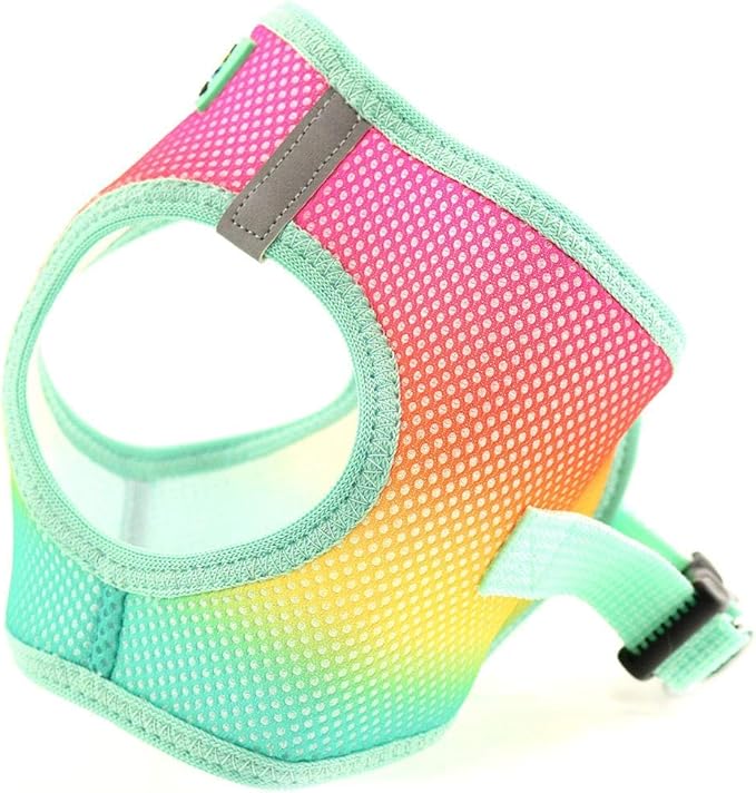 Doggie Design No Choke Dog Harness - Simple Step-in and Go Dog Vest for Small, Medium, and Large Breeds - Breathable Mesh Polyester Pet Harness - Beach Party - M