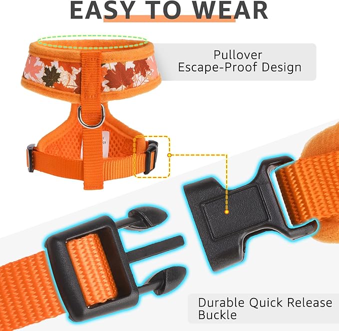SCENEREAL Fall Dog Harness Collar and Leash Set for Small Dogs, Orange Leaf No Pull Dog Harnesses, Adjustable Step in Pet Vest for Doggie Puppy Cats Walking Outdoor, Chihuahua Yorkie Harness XS