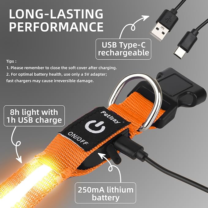 Super Bright LED Dog Collar - Fully Waterproof & Adjustable Glow Collar - USB-C Rechargeable for Night Walking, Safety - Flashing Lighted Collar for Dogs(Orange,S)