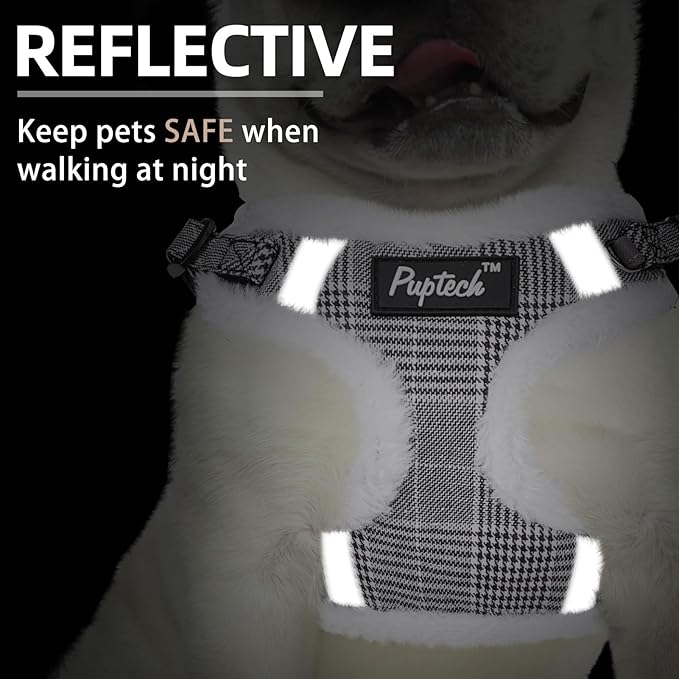 PUPTECK Dog Harness and Leash Set Small Sized, Step in No Pull Adjustable Puppy Cat Harness Reflective Pet Vest