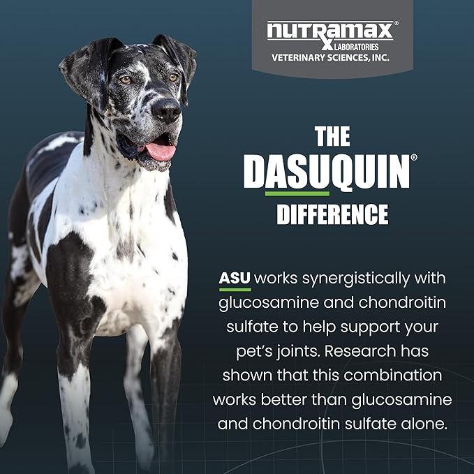 Nutramax Dasuquin for Large Dogs, Joint Health Supplement, Contains Glucosamine for Dogs, Plus Chondroitin, ASU, MSM and More, Supports Healthy Joints, Soft Chews, 84 Count