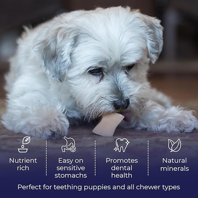 Devil Dog Pet Co. Himalayan Yak Cheese Dog Chews, Small - 8 Pack, 100% Natural & Healthy, Lactose-Free, Long-Lasting Dog Treats, Premium Yak Milk Chew Bones for Dogs