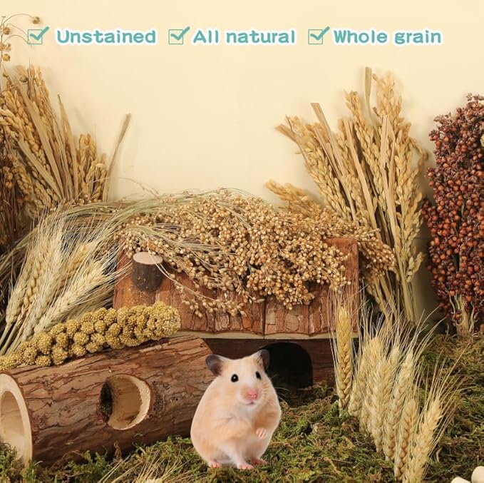 Hamster Spray Set - Natural Snack Grains & Chew Toys for Cage Decoration Accessories, Soft Bedding for Dwarf Syrian Hamsters, Gerbils, Mice & Small Pets