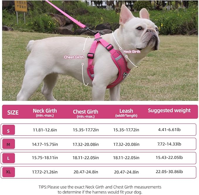 Dog Harness and Leash Set, Adjustable Triangle, Reflective Adjustable Puppy Vest, No Pull Soft Mesh Harness for Small, Medium Dogs, Cats (Fuchsia, M)