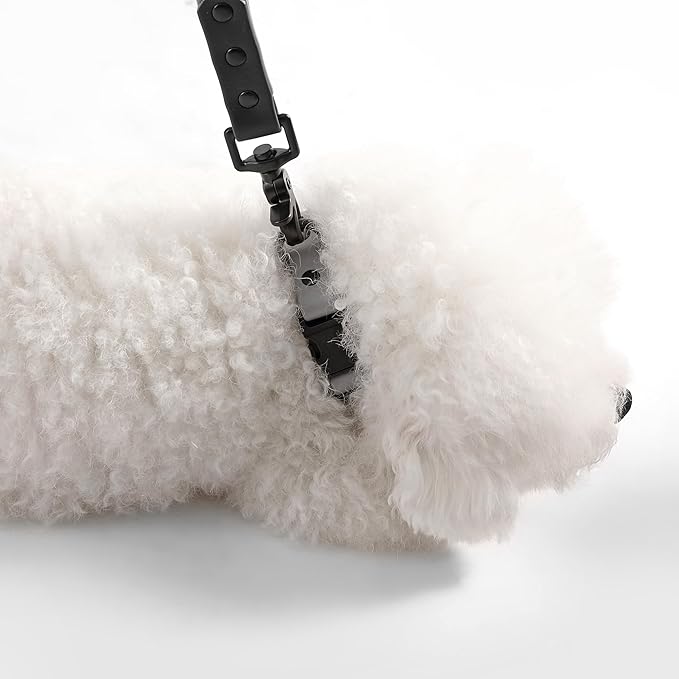 WLK1004N-5SET Luna Small 8FT Adjustable 6-in-1 Waterproof Hands-Free Leash and Collar with LED Flashlight, Bag Dispenser, and Poop Bag Holder, Martini