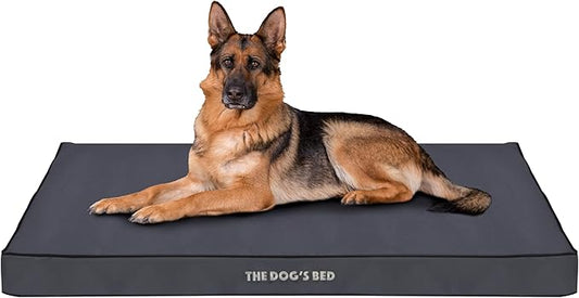 The Dog’s Bed Orthopedic Dog Bed, XL Grey with Black Trim, Waterproof, Supportive Dog Bed with Washable Replaceable Covers, Veterinary Approved