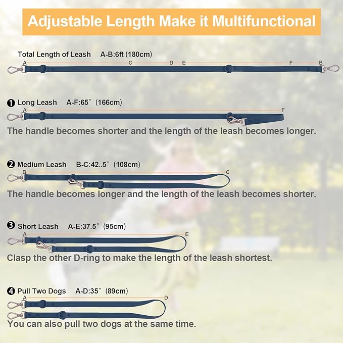 Wisedog Waterproof Dog Leash – 5ft/6ft Adjustable with 2 Metal Swivel Hooks, Easy to Clean Dog Leashes for Small, Medium, Large Breed Dogs (Navy,L)