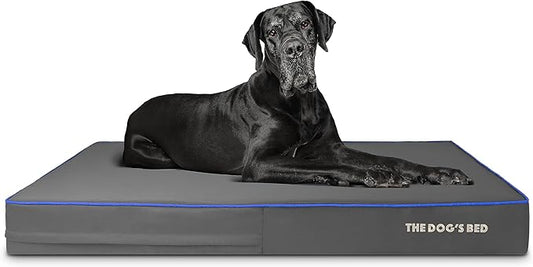 The Dog’s Bed Orthopedic Memory Foam Dog Bed, XXL Grey & Blue 54x36, Pain Relief for Arthritis, Hip & Elbow Dysplasia, Post Surgery, Lameness, Supportive, Calming, Waterproof Washable Cover