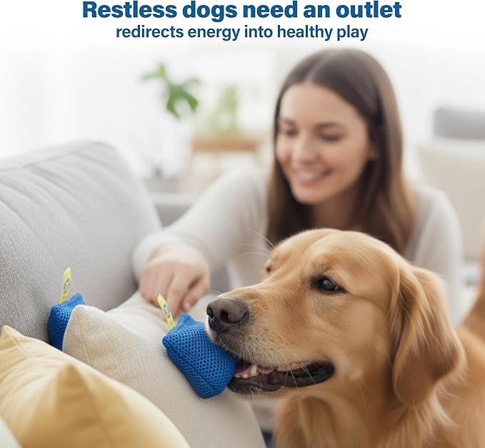 Race&Herd Original Dog Scent Training Kit, Scent Work Training Kit for Dogs - Nosework for Dog Mental Stimulation Agility Training Equipment for Dogs, Brain Games Smell Training Kit for Loss of Smell