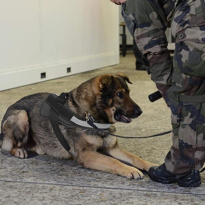 Bolux Dog Harness, No-Pull Reflective Dog Vest, Breathable Adjustable Pet Harness with Handle for Outdoor Walking - No More Pulling, Tugging or Choking (Black, XXL)