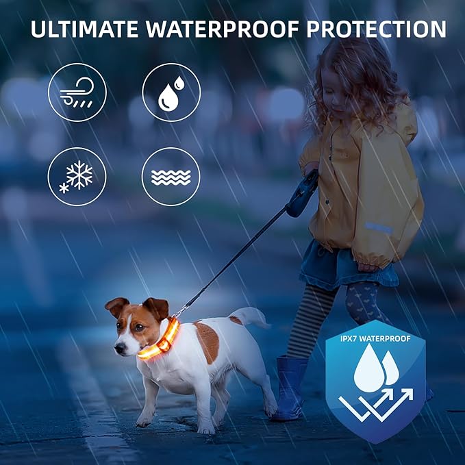 Super Bright LED Dog Collar - Fully Waterproof & Adjustable Glow Collar - USB-C Rechargeable for Night Walking, Safety - Flashing Lighted Collar for Dogs(Orange,S)