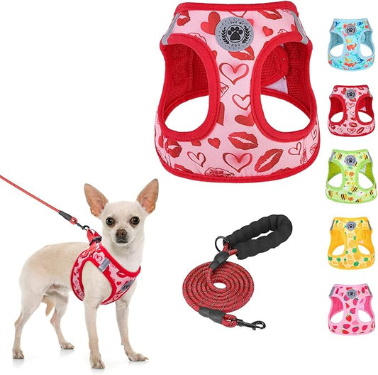 BEAUTYZOO Step in Dog Harness and Leash Set,Reflective Dog Harness No Pull No Choke Puppy Harness for Small Medium Large Dogs Cats,Soft Padded Mesh Vest Harnesses for Girl and Boy,Valentine's Day S