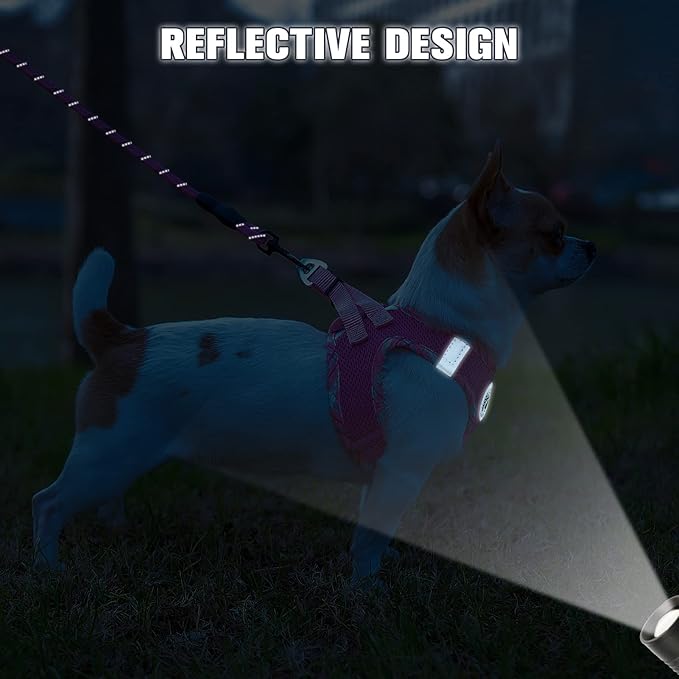 BEAUTYZOO Dog Harness and Leash Set for Small Medium Dogs,No Pull Step-in Harness for Puppy S M Sized Dogs and Cats,Air Mesh Adjustable Breathable Soft No Choke Escape Proof Vest Harnesses,Pink XXS