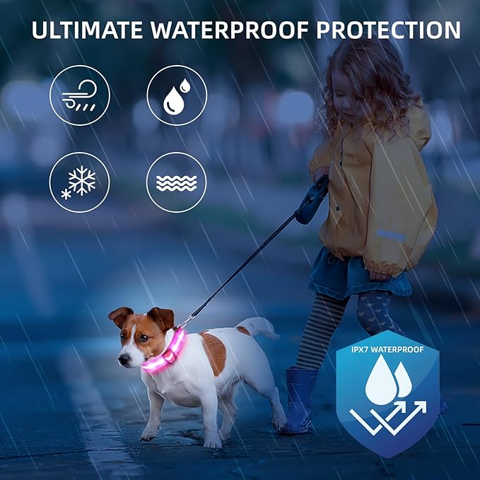 LED Dog Collar for Small Dogs Cats - Fully Waterproof & Adjustable Glow Collar - USB-C Rechargeable for Night Walking, Safety - Flashing Lighted Collar for Dogs(Pink,XS)