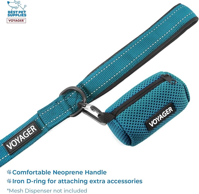 Voyager Step-in Air All Weather Mesh Harness and Reflective Dog 5 ft Leash Combo with Neoprene Handle, for Small, Medium and Large Breed Puppies by Best Pet Supplies - Leash Harness (Turquoise), XS