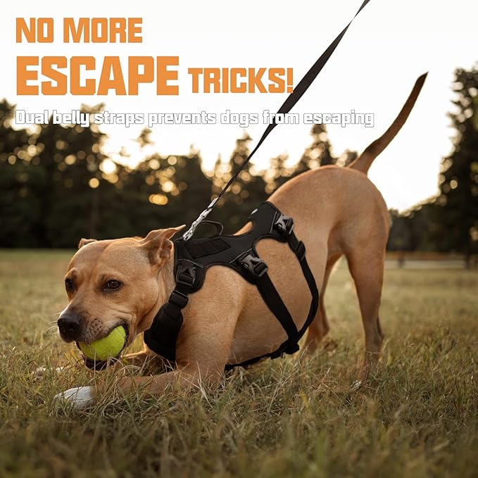 AUROTH Escape Proof Dog Harness - Soft Padded Reflective Adjustable Vest with Lift Handle - Medium Size