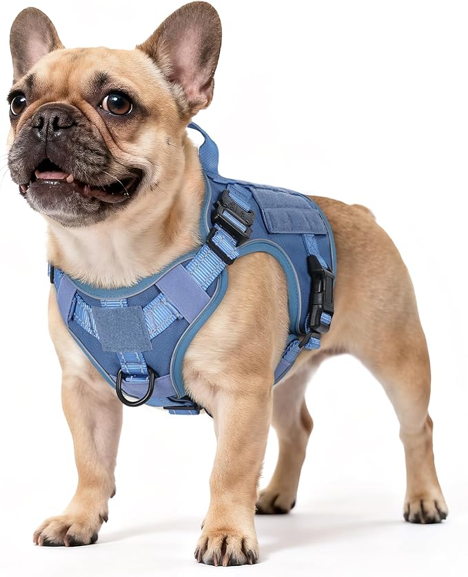 rabbitgoo Tactical Dog Harness Small Sized, No Pull Upgraded Reflective Heavy Duty Molle Vest with Handle, Adjustable Military Service Dog Vest for Walking Hiking Training, Blue, S