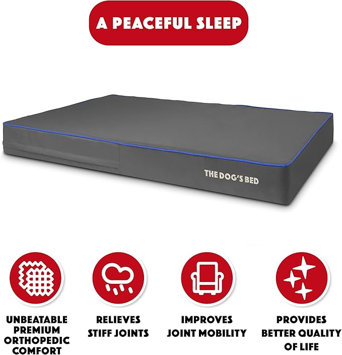The Dog’s Bed Orthopedic Memory Foam Dog Bed, XXL Grey & Blue 54x36, Pain Relief for Arthritis, Hip & Elbow Dysplasia, Post Surgery, Lameness, Supportive, Calming, Waterproof Washable Cover