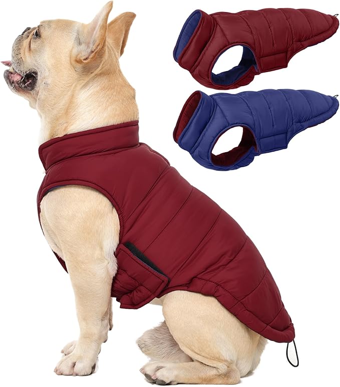 QBLEEV Reversible Dog Coat for Small Dogs, Waterproof Windproof Winter Jacket Keeps Small Breeds Warm & Dry, Lightweight Adjustable Puffer Vest with Leash Hole, Wine Red, XS – Fits Chihuahua, Yorkie