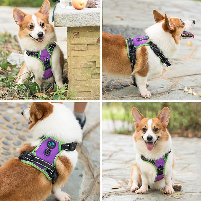 PHOEPET 2019 No Pull Dog Harnesses for Small Dogs Reflective Adjustable Front Clip Vest with Handle 2 Metal Rings 3 Buckles [Easy to Put on & Take Off](XS, Purple)