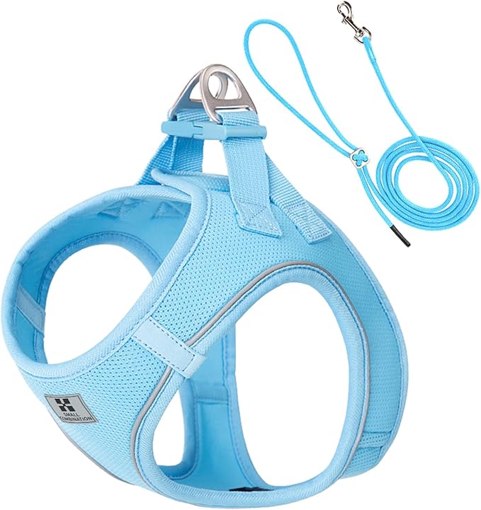 Adjustable Dog Harness with Leash, Reflective Mesh, No-Pull Design，Matching Lead Rope (SkyBlue, XS)