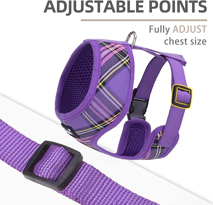 PUPTECK Soft Mesh Dog Harness and Leash Set Pet Puppy Cat Comfort Padded Vest No Pull Harnesses, Purple, XL