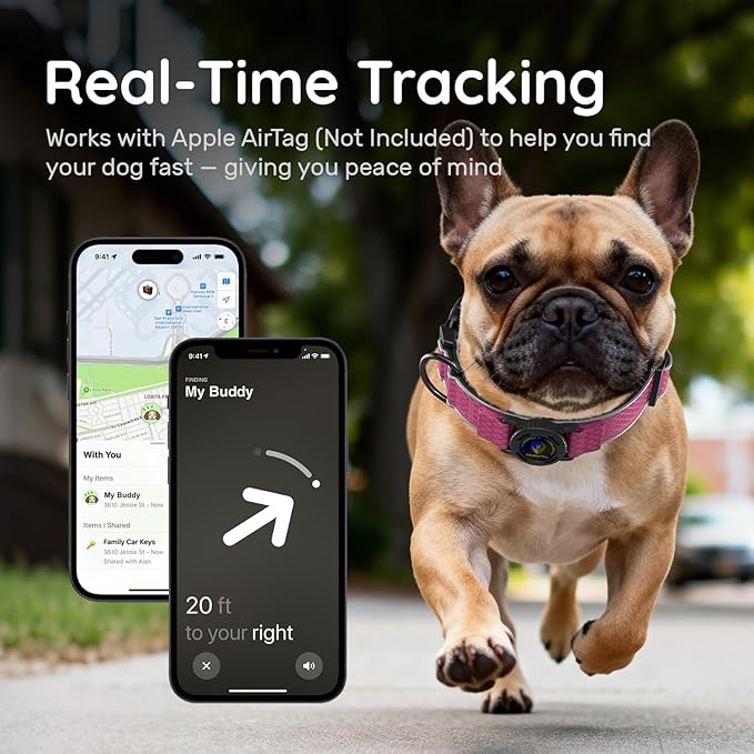 AirTag Dog Collar with QR Code ID & Waterproof Holder - Reflective, Durable Padded Oxford Collar Compatible with Apple AirTags for Medium Dogs (Rose Red, M)