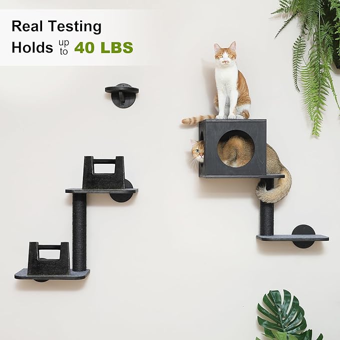 FUKUMARU Cat Wall Shelves, 5-Piece Stable Wooden Wall-Mounted Furniture Set, Kitty Climber with Hammock, House, Steps, Scratching Post (Black)