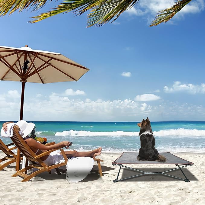 unp Folding Dog Cot - 26.7 x 26.7 x 10 inch Elevated Breathable mesh Dog Bed, Dog Chair with Removable Plush Cover & Carrying Bag for Corgi... (Grey, M)