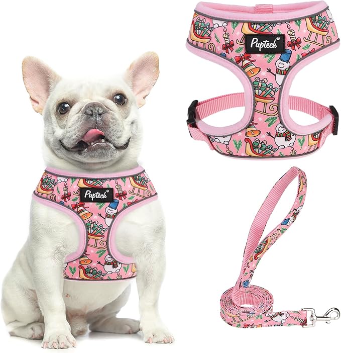 PUPTECK Soft Mesh Christmas Dog Harness and Leash Set Pet Puppy Cat Comfort Padded Vest No Pull Harnesses, Bright Pink, M