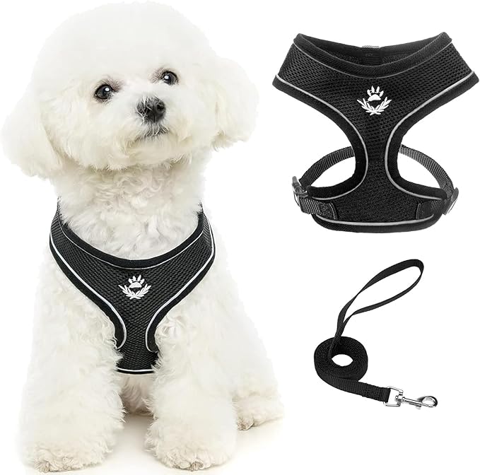 PUPTECK Soft Mesh Dog Harness and Leash Set Pet Puppy Cat Comfort Padded Vest No Pull Harnesses