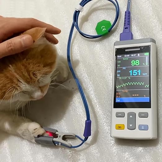 3.5 Inch Handheld Touch Screen Veterinary Monitor Multi-Parameter Cat Dog Animal Vet Pulse Oximeter Vital Signs Monitor (SPO2 and NIBP and Temp)