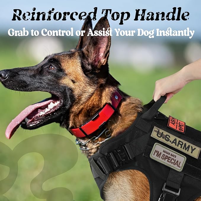 rabbitgoo Tactical Dog Harness for Large, Heavy Duty Pet Harness with Handle, No-Pull Service Vest Large Breed, Adjustable Military Dog Vest for Training Hunting Walking, Black, L