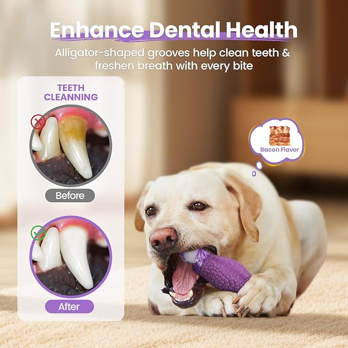 HGB Tough Dog Chew Toys for Aggressive Chewers, Squeaky Indestructible Dog Toy for Large Dogs to Keep Them Busy & Reduce Boredom for Small, Medium, Large Breed, Bacon Flavor