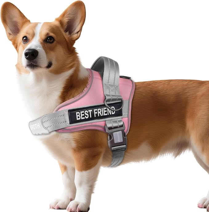 AUROTH Dog Harness No Pull Soft Padded Service Dog Vest, No Choke, Easy On Pet Vest with Handle, Adjustable Reflective Dog Harness for Small, Medium and Large Dogs, Easy Walking and Training