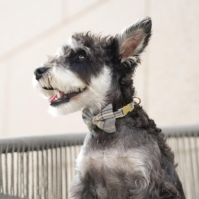 Beirui Cute Small Dog Harness Collar and Leash Set with Bowtie, Soft Adjustable Plaid Puppy Harness for Small Sized Dogs Cats Walks Parties and Photoshoots(Gray,S:Chest 17-23")