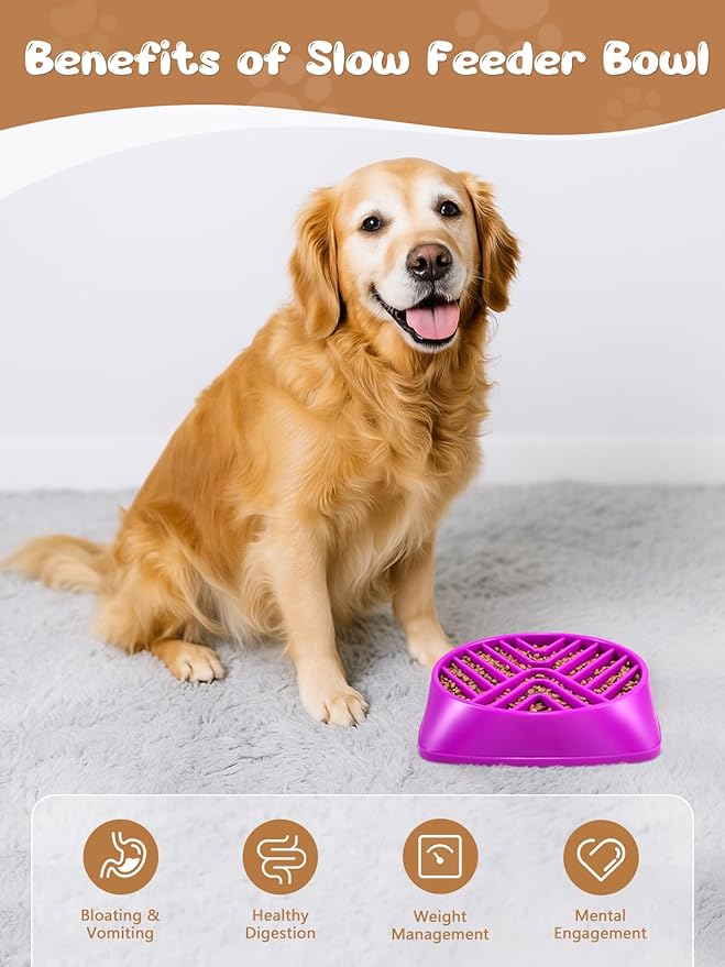 KASBAH Slow Feeder Dog Bowls Large Breed, Holds 5 Cups Wet or Dry Food for Large and Medium Dogs,Puzzle Maze for Fast Eaters,Square Base,Non-Slip, Made Without BPA,Helps Prevent Bloat & Aid Digestion