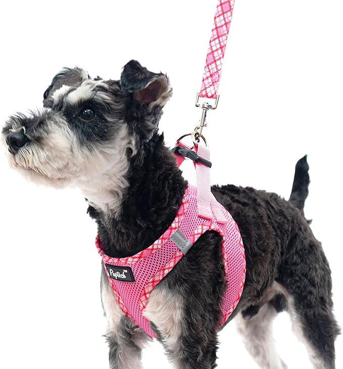 PUPTECK Dog Harness and Leash Set for Small Medium Dogs No Pull Step-in Soft Mesh Puppy Cat Vest Harnesses Reflective at Night, Pink S