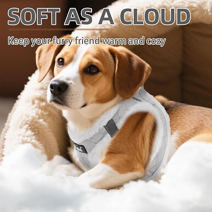 PUPTECK Plush Dog Harness and Leash Set for Small Medium Dogs No Pull Step-in Soft Mesh Puppy Cat Winter Vest Harnesses Reflective at Night Warm, Plush Grey, M