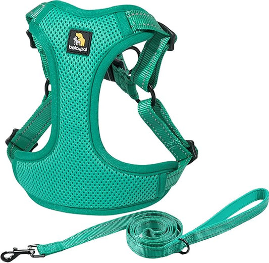 BELLA & PAL Adjustable Step-in Dog Harness, Puppy No-Pull Vest with Leash Set for XS/Small & Medium Dog, Breathable All-Weather Mesh, Reflective Strip, Secure Hook & Loop, Buckle Closure