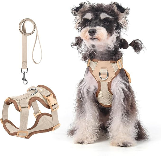 Small Dog Harness and Leash Set, Breathable Mesh Puppy Harness, Adjustable Dog Harness for Small Medium Large Dogs, No-Pull Pet Harness for Daily Walking (Faint Yellow, X-Large)