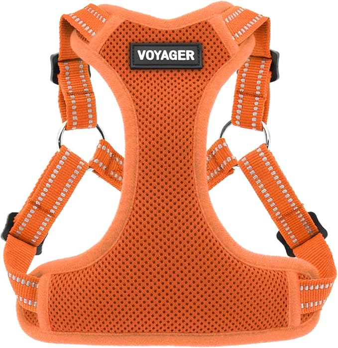 Best Pet Supplies Voyager Mesh Dog Breathable Harness Reflective Stitching, All Weather Adjustable for Walking Training, or Running - Heavy Duty & Durable, Harness (Orange), M