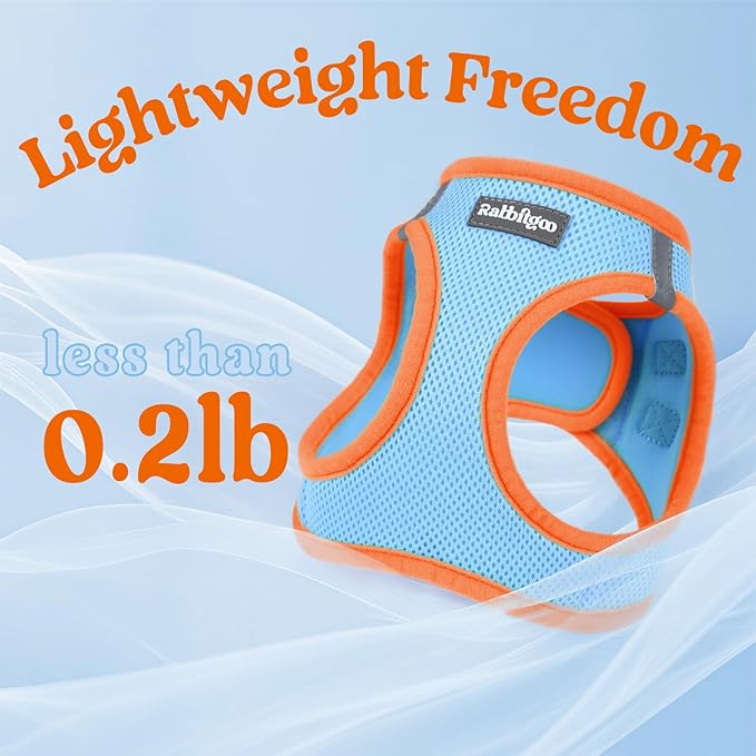 rabbitgoo Dog Harness Small Sized and Leash Set, Step-in Breathable Pet Harness, Soft Walking Reflective Puppy Vest for Small Dogs, Light Blue & Orange, M