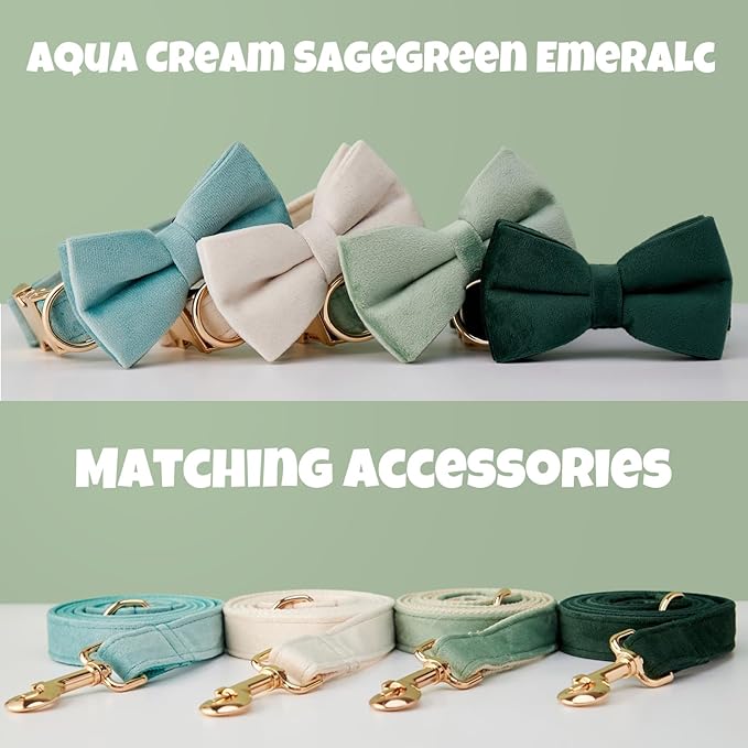 Personalized Velvet Dog Collar with Name & Phone, Multi-Color Options, Metal Quick-Release Buckle, Soft & Stylish (Style-C)