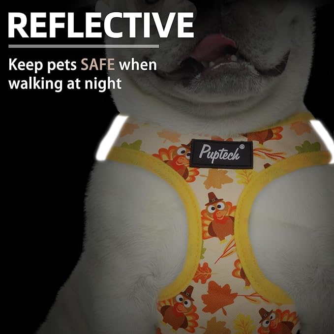 PUPTECK Dog Harness and Leash Set for Small Medium Dogs No Pull Step-in Soft Mesh Puppy Cat Vest Harnesses Reflective at Night Thanksgiving, Yellow Turkey, S