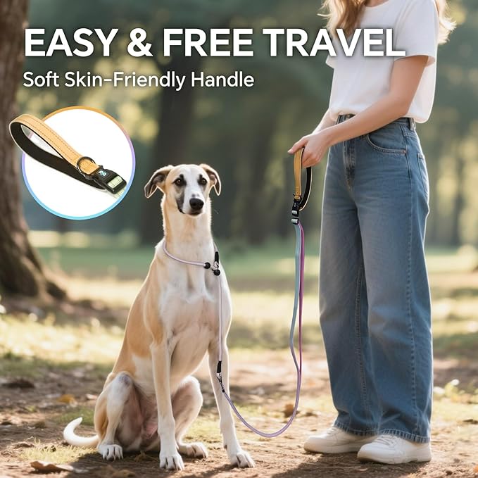 QQPETS Adjustable Slip Lead Dog Leash, Hands Free Waist Leash for Dog Walking, Reflective Training Lead with 360° Swivel Anti-Tangle, 4-7 ft Length for All Breeds