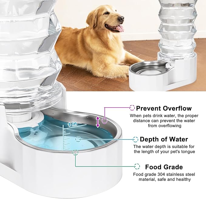 RIZZARI Large Gravity Water Dispenser: 8L Automatic Water Feeder with Stainless Steel Bowl - Two Caps and Filters for 30-60 LB Dogs with Spinal Issues - for Living Room Garage