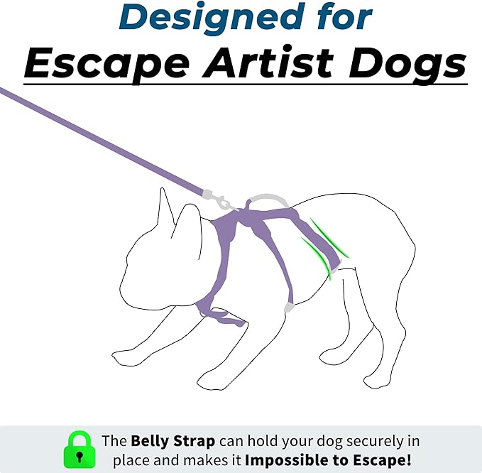 Escape Proof Dog Harness and Leash Set, Lightweight Dog Harness with Lift and Assist Handle, No Pull Reflective Pet Vest for Small Medium Dogs, Ideal for Puppy Walking and Training (Purple, S)